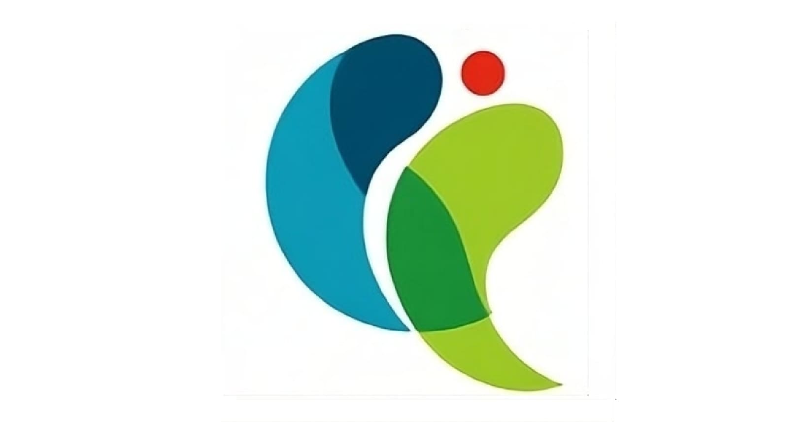 Soljanka
